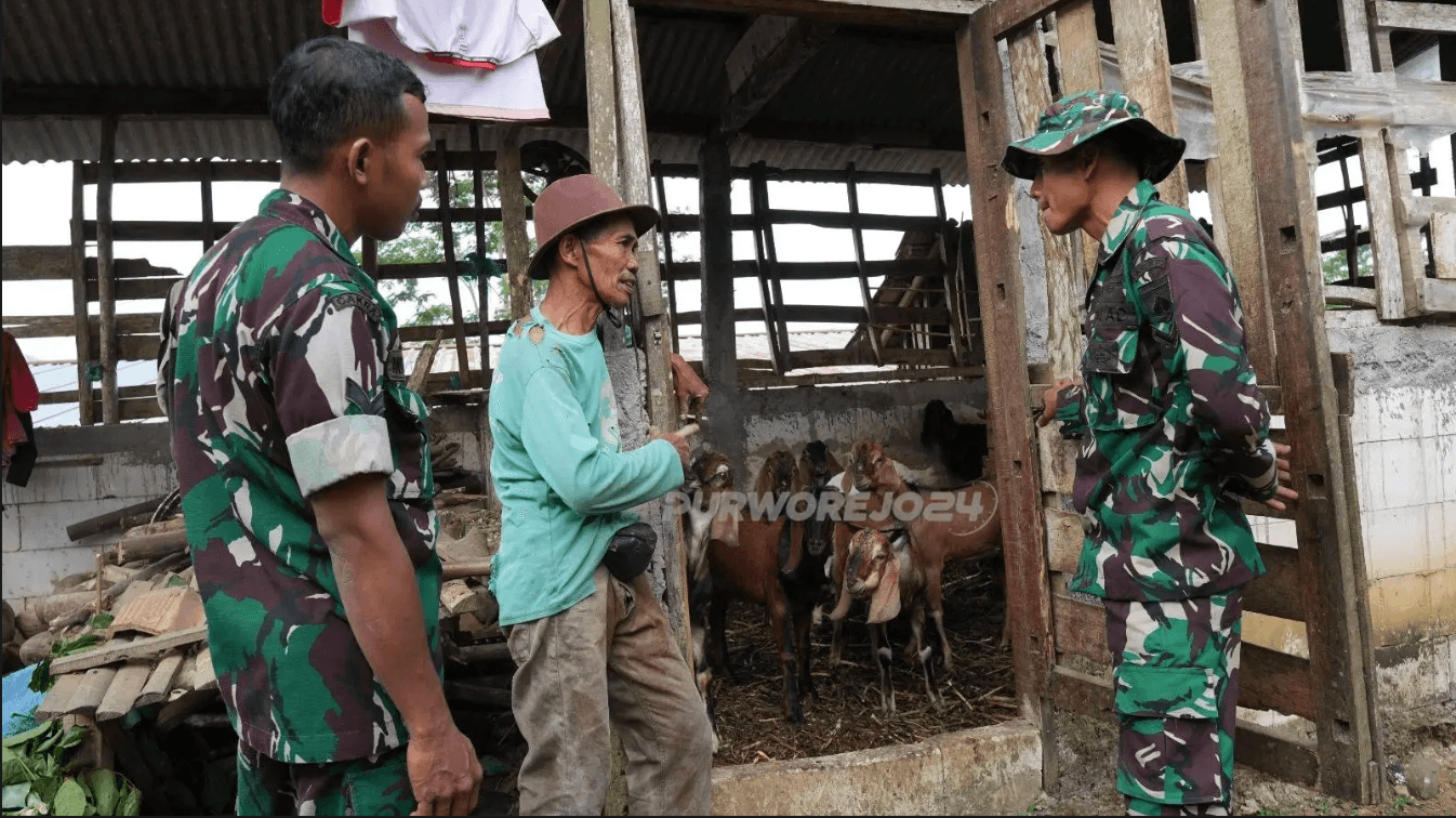 Satgas TMMD Kodim 0708/Purworejo Pererat Kemanunggalan dengan Warga Lewat Belajar Peternakan Kambing