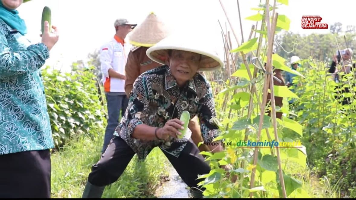 BUMDes Maniloka Sukadami Luncurkan Program Ketahanan Pangan Berbasis Potensi Lokal